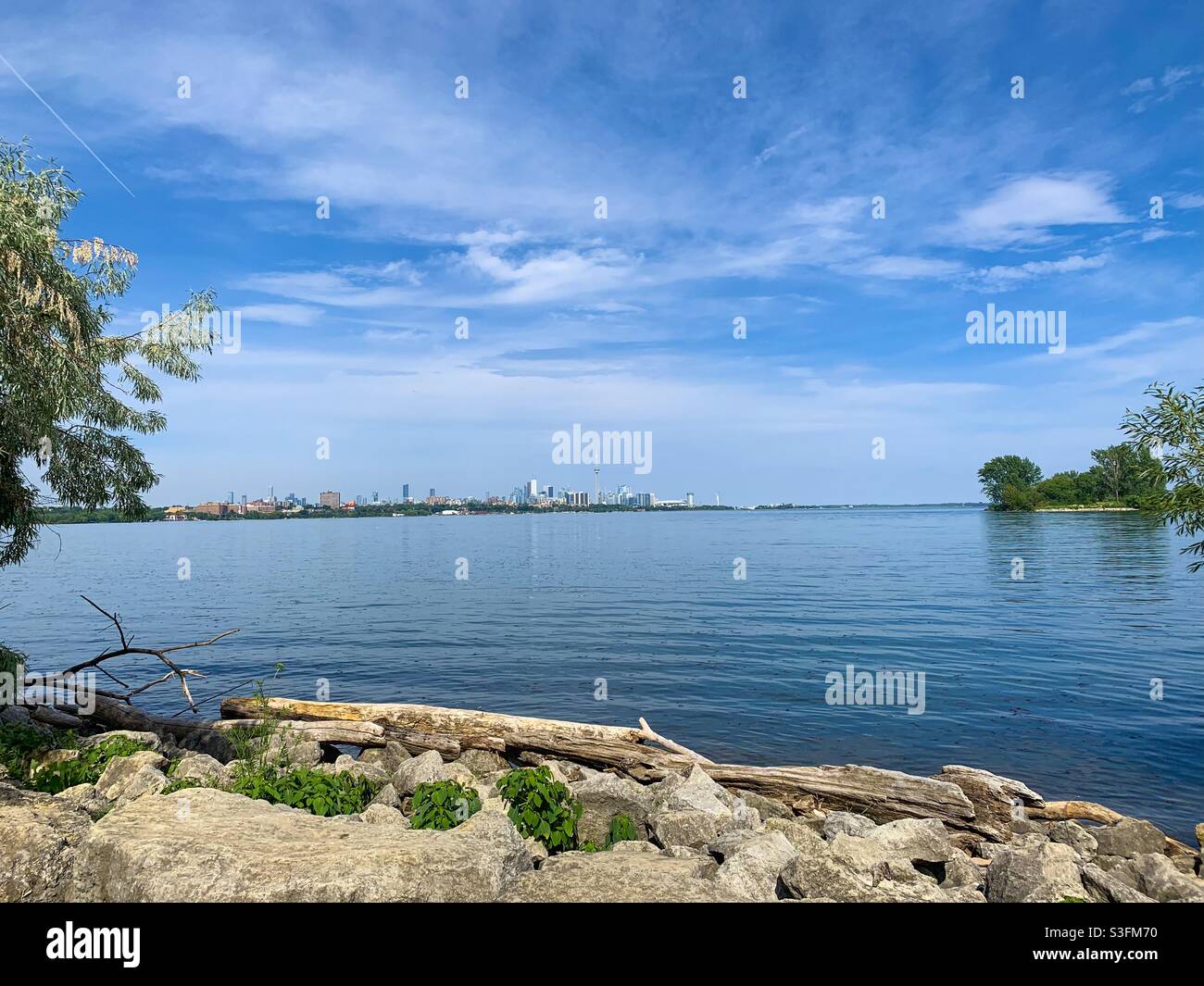 Vue de la tour CN de Toronto vue de Humber by Butterfly Habitat à Etobicoke Banque D'Images