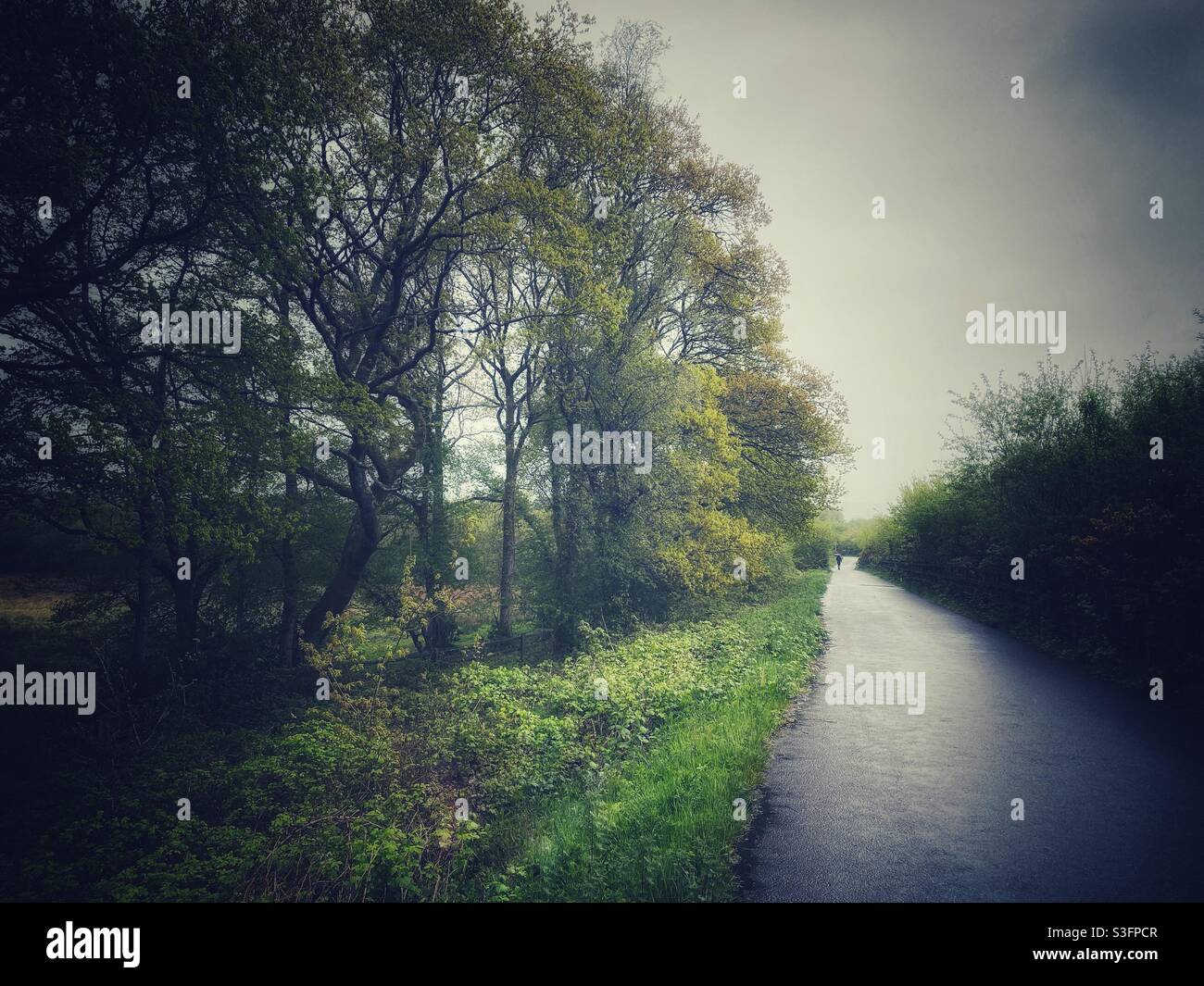 Photographie d'un sentier à côté d'un champ par temps pluvieux Banque D'Images