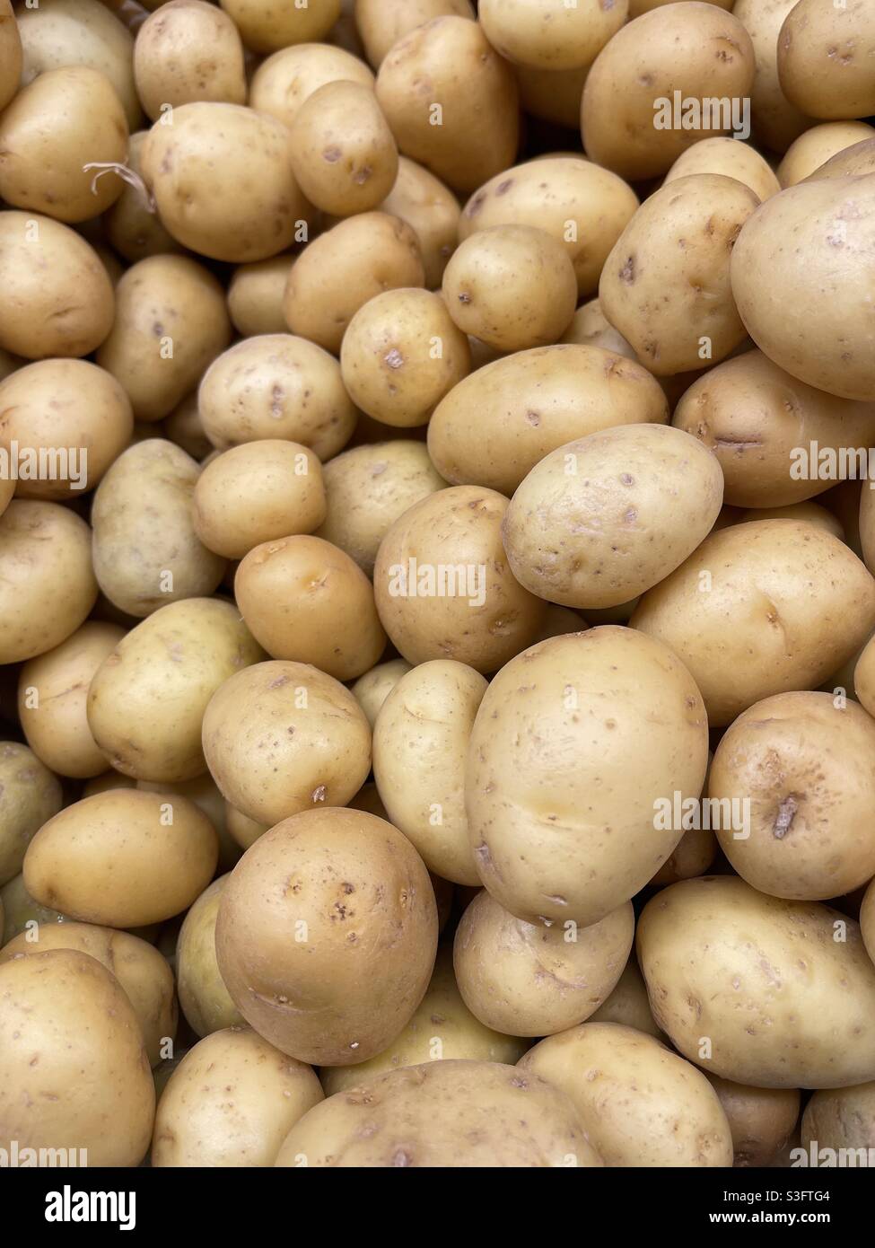 Bouquet de pommes de terre Banque D'Images