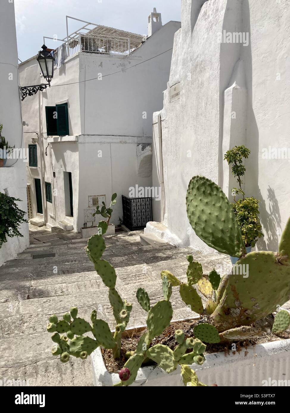 Ostuni maisons blanchies à la chaux et cactus, Italie Banque D'Images
