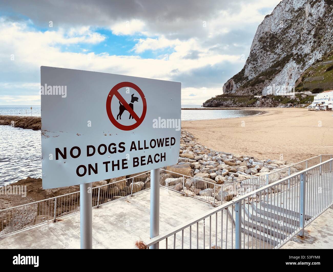 Panneau indiquant qu'aucun chien n'est autorisé sur la plage Banque D'Images
