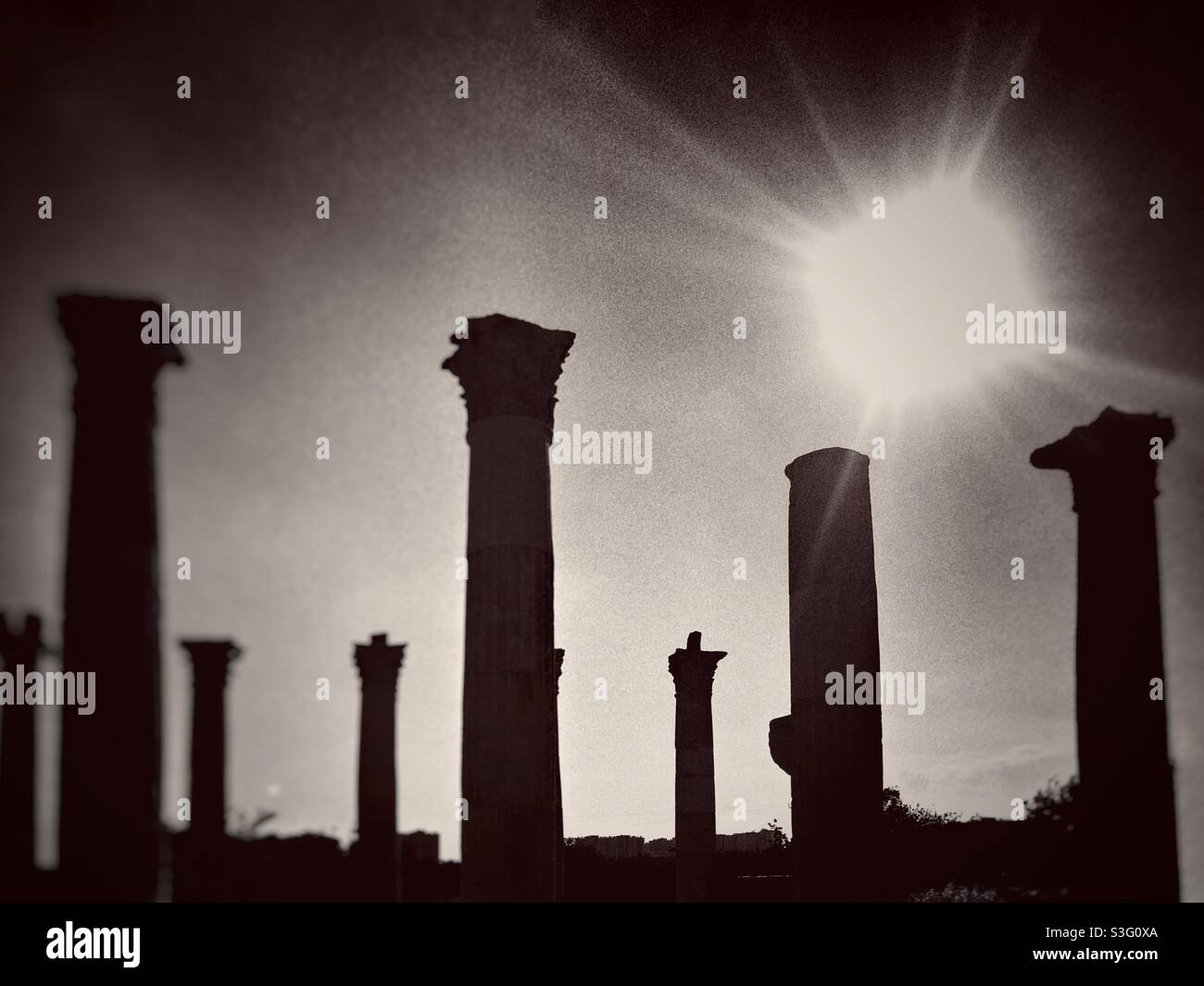 Pompei police anciennes colonnes grecques dans le sud de la Turquie à Mersin Banque D'Images