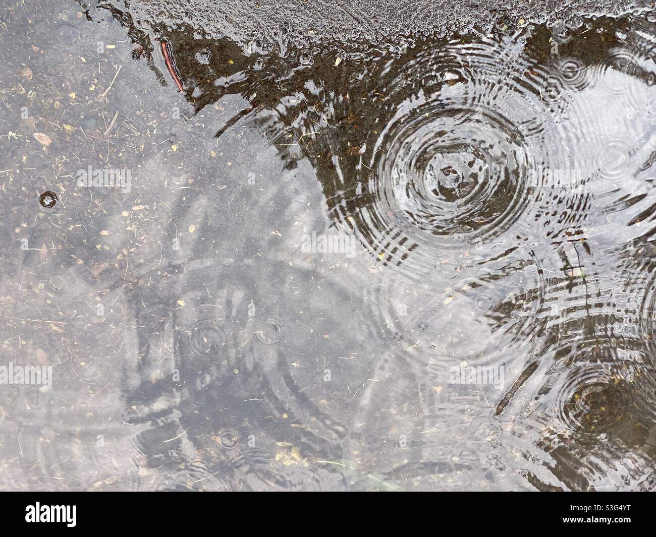 Gouttes d'eau de pluie sur l'eau Banque D'Images