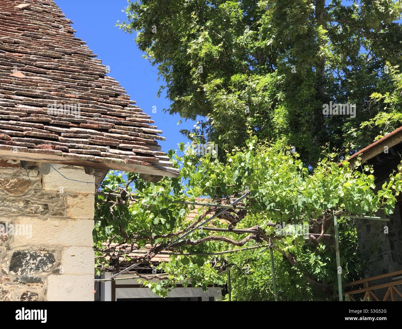 Monastère de Panagia Trikoukkia, situé près du village de Prodromos dans les montagnes Troodos, dans le district de Limassol, Chypre. Dédié à la Vierge Marie. Base de l'ère byzantine. L'un des plus anciens de Chypre - Image de stock capturée avec un smartphone