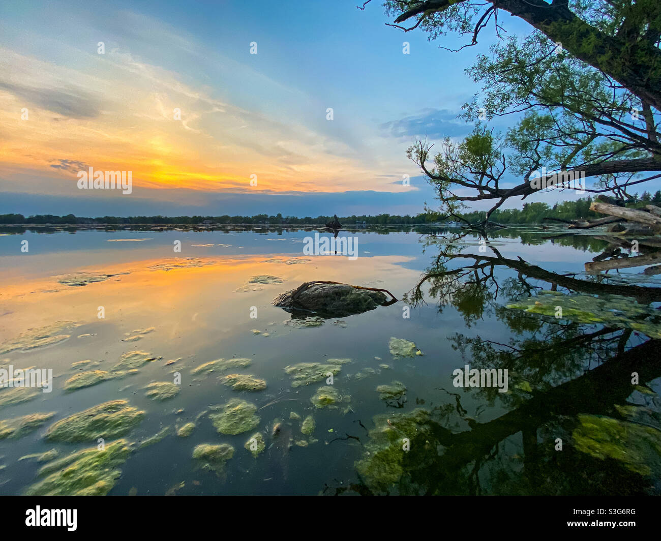 Coucher de soleil sur le lac Wilcox - Image de stock capturée avec un smartphone