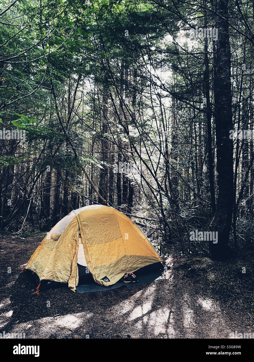 Camping dans la forêt Banque D'Images