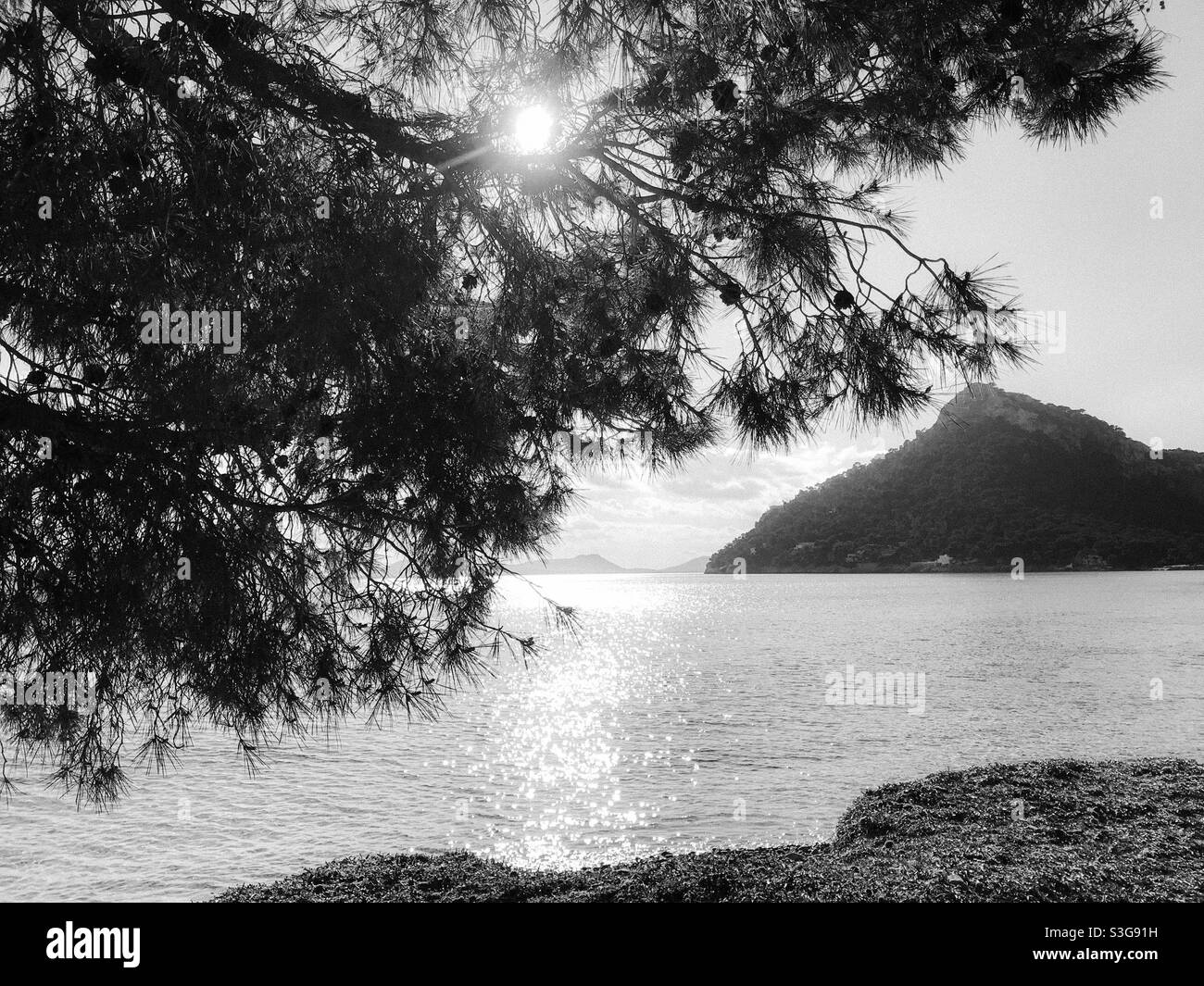 Plage de Formentor, Majorque Banque D'Images