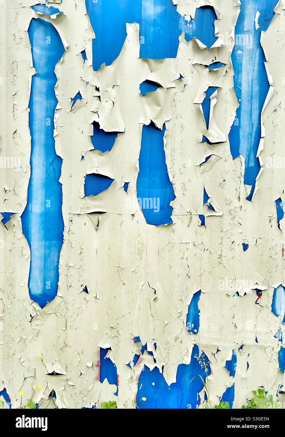 Peinture écaillée sur le conteneur d'expédition Banque D'Images
