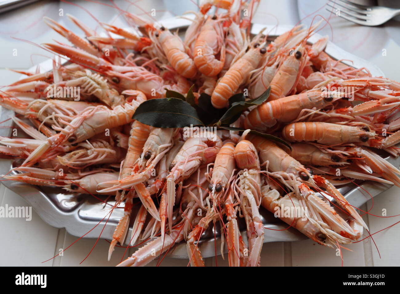 Homard de Norvège sur une assiette - Image de stock capturée avec un smartphone