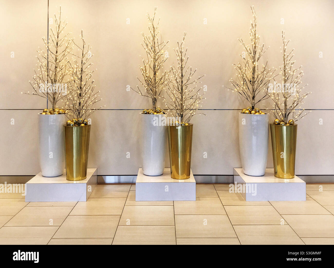 Arbres de Noël dorés illuminés dans des pots blancs et dorés. Centre-ville de Calgary, Alberta, Canada. Banque D'Images