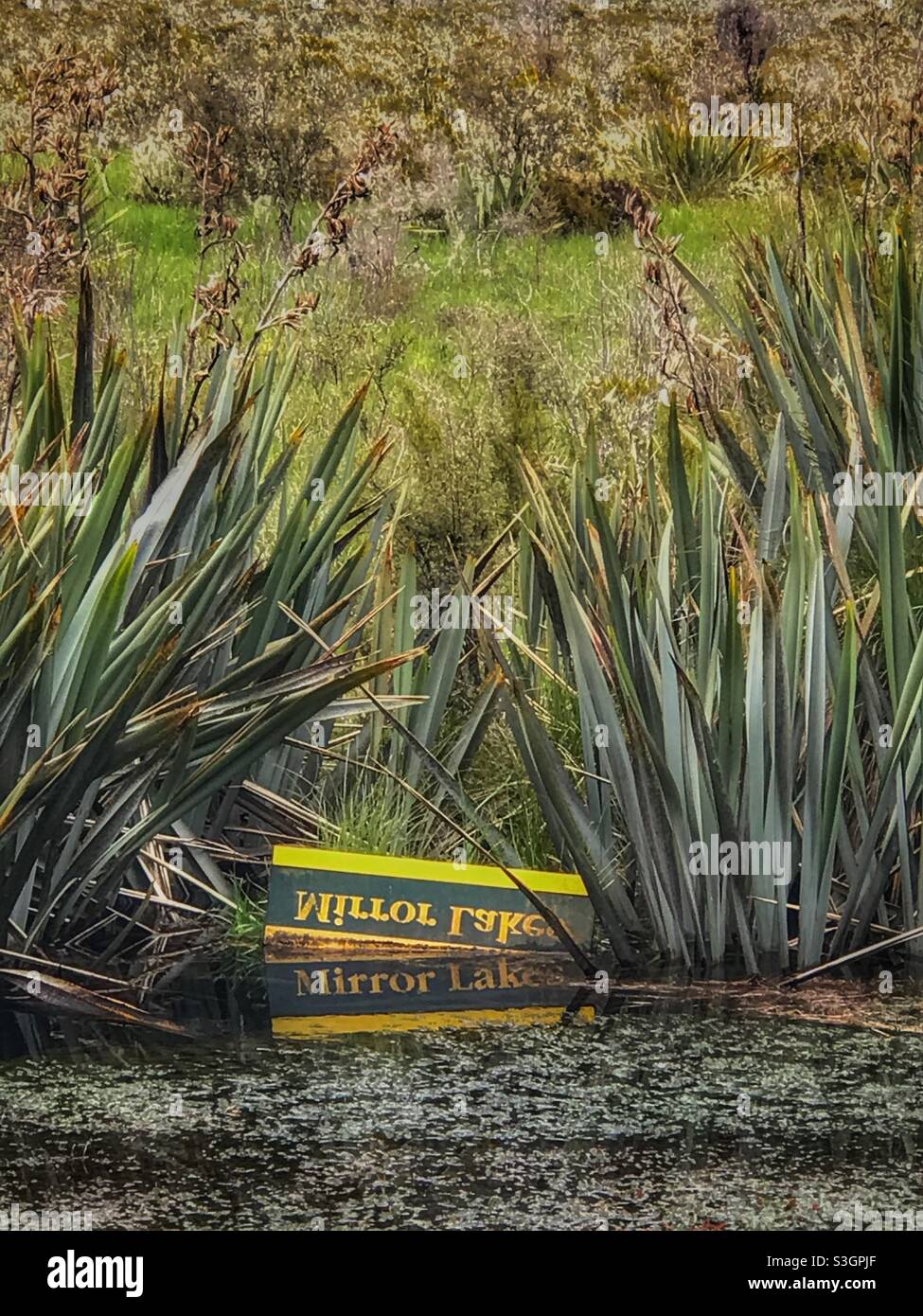 Lac Mirror dans le parc national de Fiordland, île du Sud - Image de stock capturée avec un smartphone