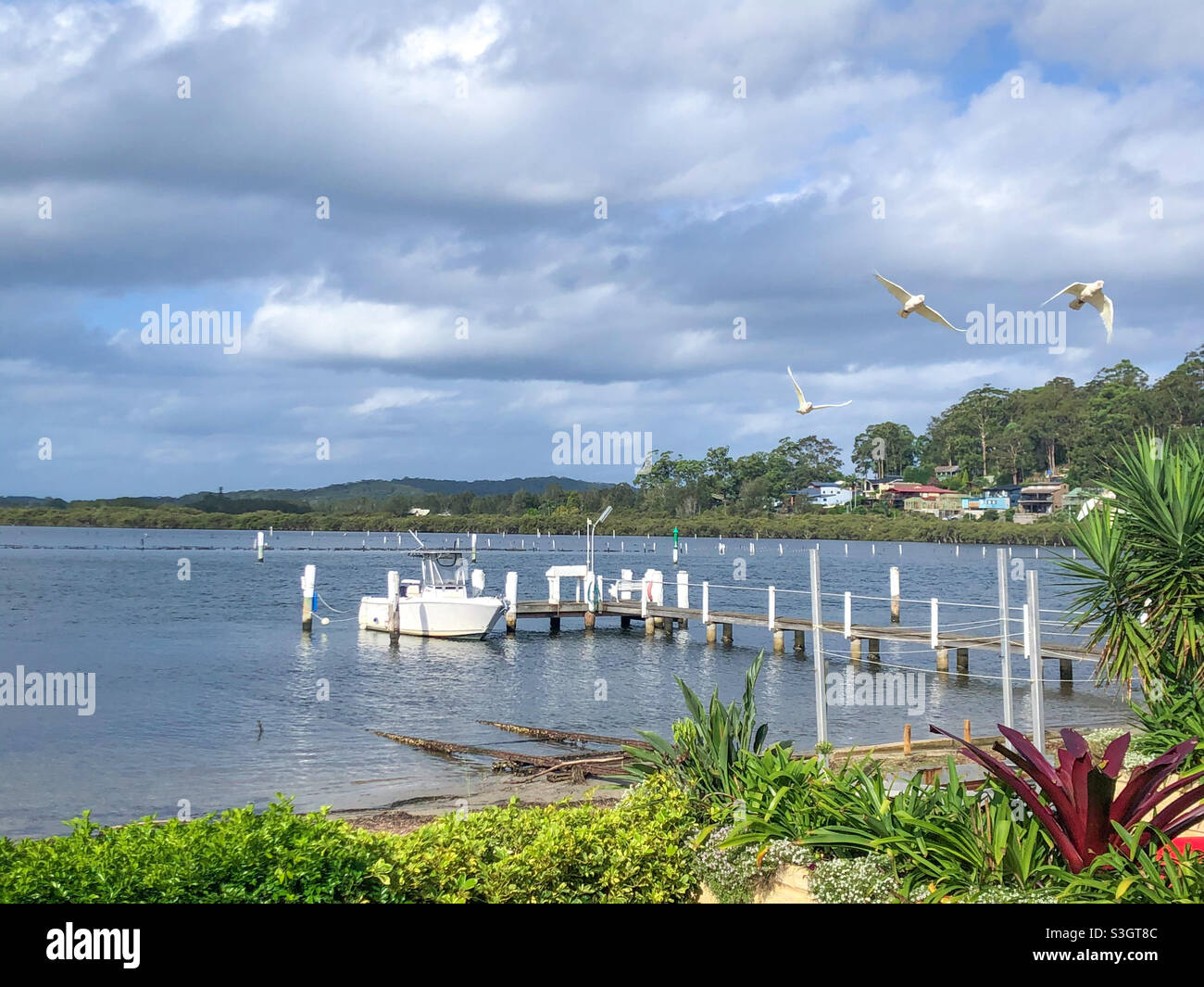 Trois petits Corellas Cacatua sanguinea volant successivement sur un bateau blanc et une jetée sur les eaux de Brisbane, île Saint Huberts Nouvelle-Galles du Sud Banque D'Images