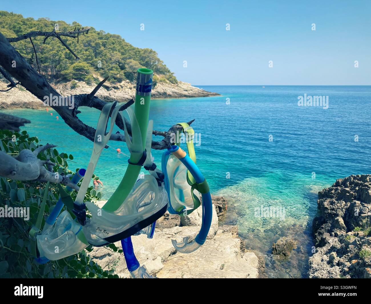 Lunettes de plongée et snorkles accrochées à une branche de pins sur les îles Tremiti italiennes Banque D'Images