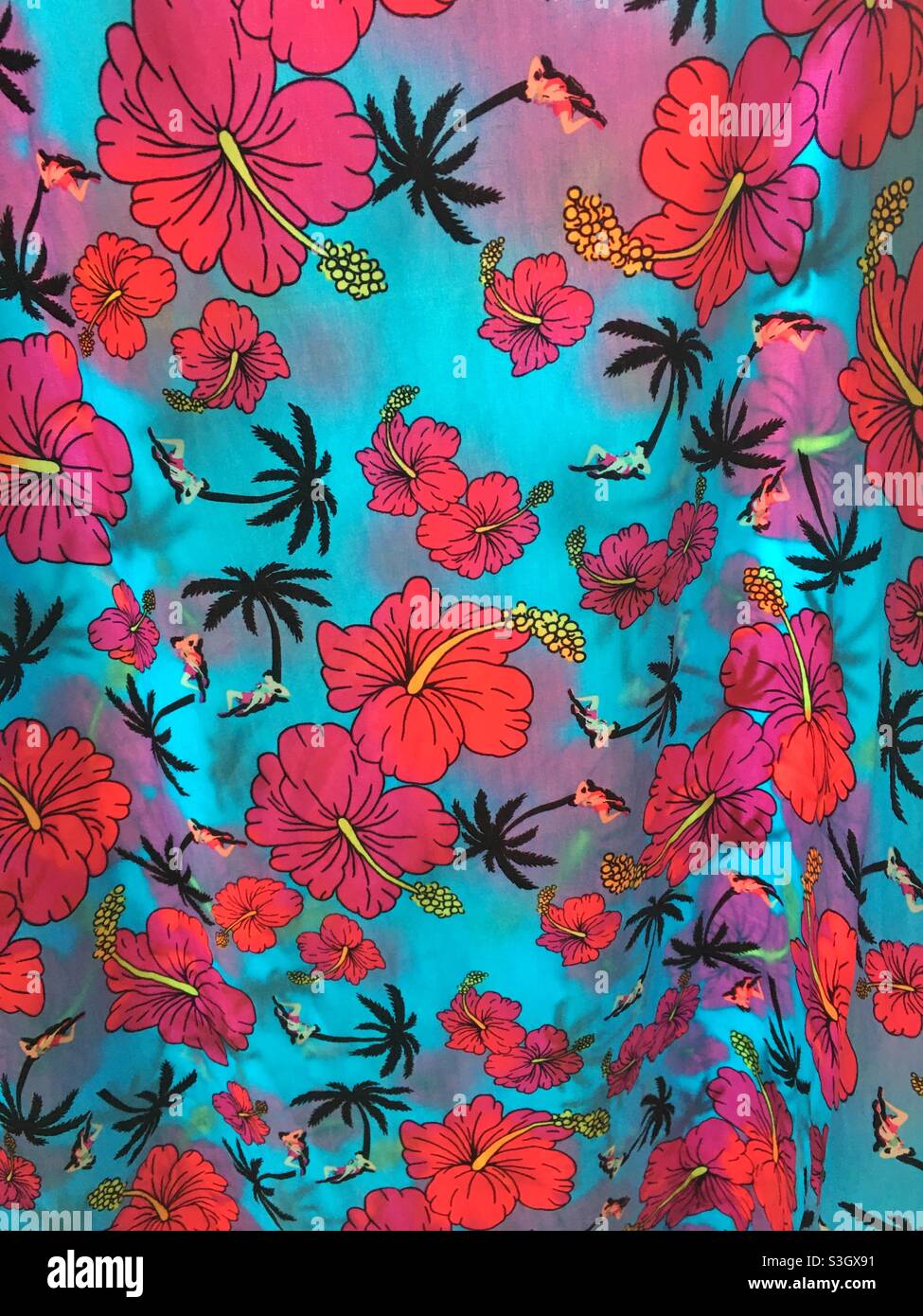 Magnifique tissu en coton avec un imprimé de fleurs d'hibiscus roses sur un fond bleu est suspendu devant une fenêtre avec la lumière qui coule à travers elle Banque D'Images