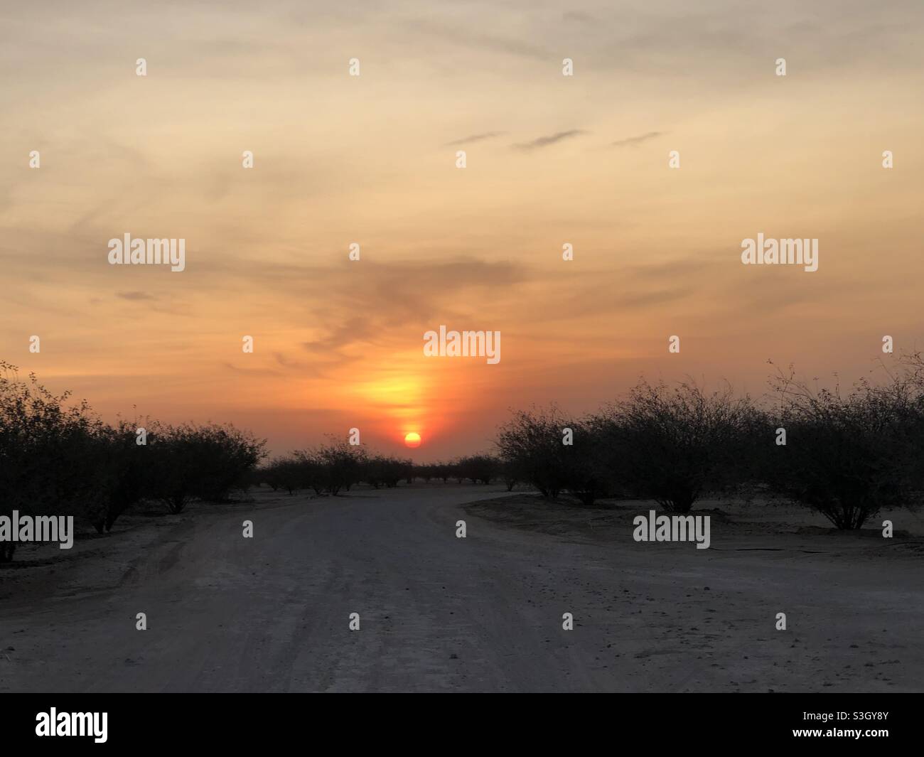 Coucher de soleil dans le désert d'Al Qudra Banque D'Images