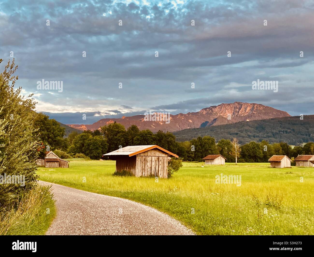 Marche en fin d'après-midi Banque D'Images