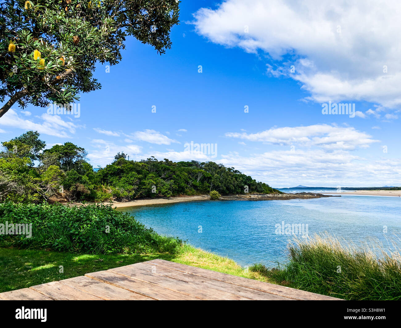 Pittoresque au bord de la mer, bleu de l'eau et du ciel, nuages blancs moelleux, arbres verdoyants, plage de sable, idyllique, relaxant, calme, paisible, magnifique - Image de stock capturée avec un smartphone