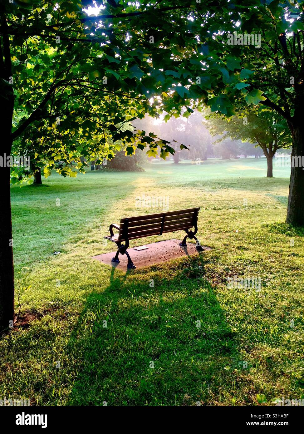 Tôt le matin dans un parc charmant. Un endroit parfait pour la méditation tranquille, la réflexion, ou shin-rin yoku. Concepts : solitude, fraîcheur, frais, commencement. Silence sauf les sons d'oiseau. - Image de stock capturée avec un smartphone