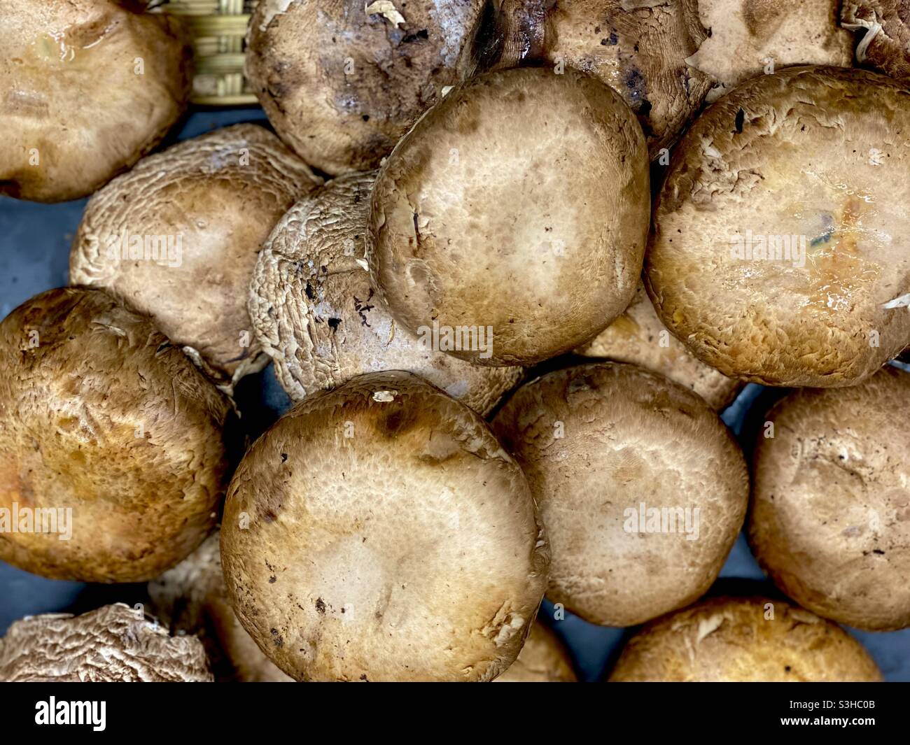 Détail d'un bouquet de champignons portobello dans un supermarché. Banque D'Images