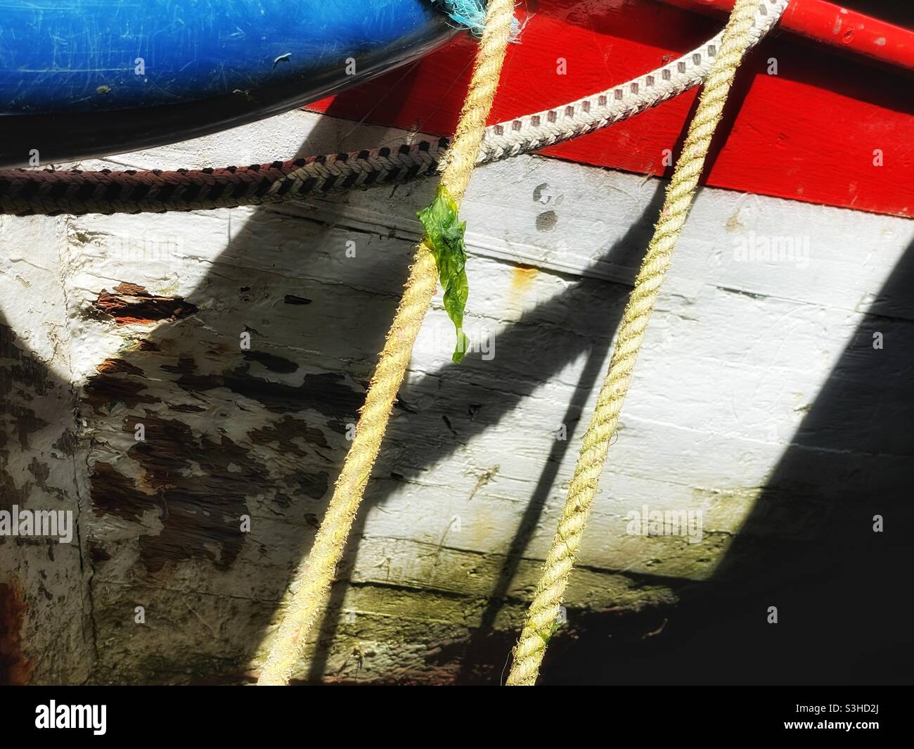 Détail d'un bateau de pêche coloré amarré dans un port de Cornouailles, août. Banque D'Images