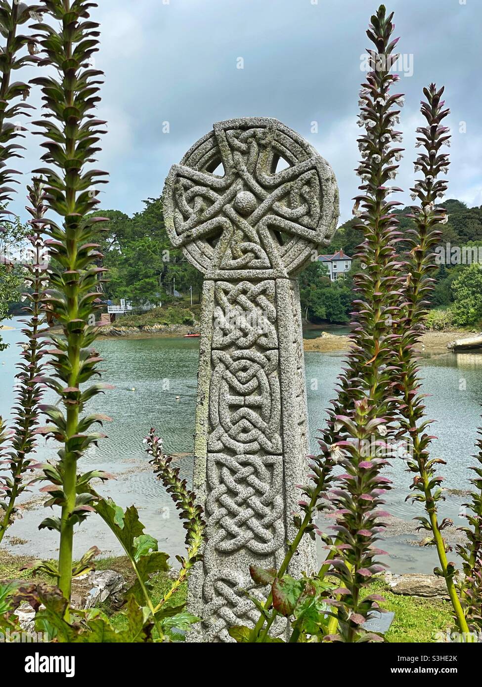 Croix celtique au cimetière de l'église St Just-in-Roseland, entouré par les plantes de sangsues de l'ours (Acanthus). Banque D'Images