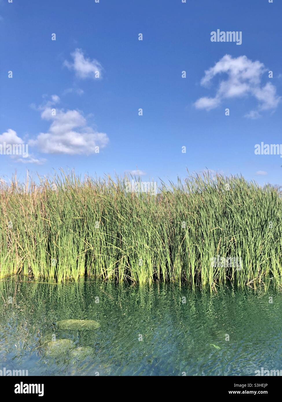 Étang au centre naturel d'El Dorado Banque D'Images