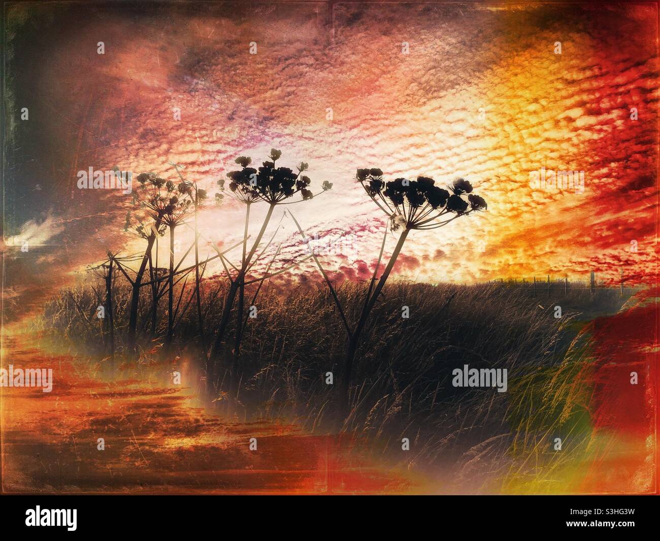 Coucher de soleil rouge Banque D'Images