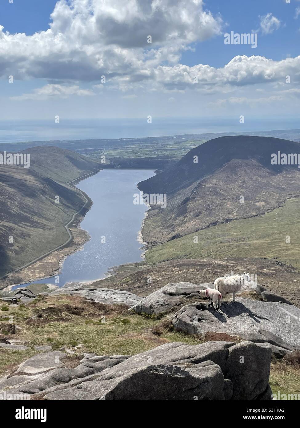 Doan, Mourne Mountains, Newcastle, Irlande du Nord, Ben Cromm Banque D'Images