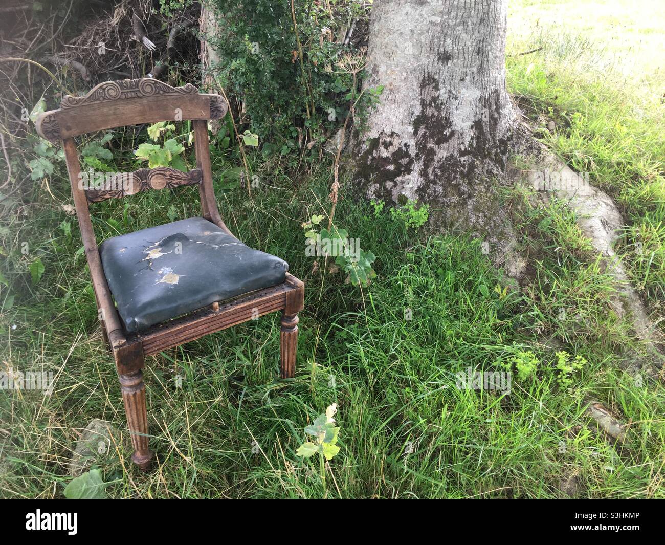 La chaise de poètes, chaise, poète, nature, arbre, champ, poétique, rêve, ancienne chaise, paysage Banque D'Images