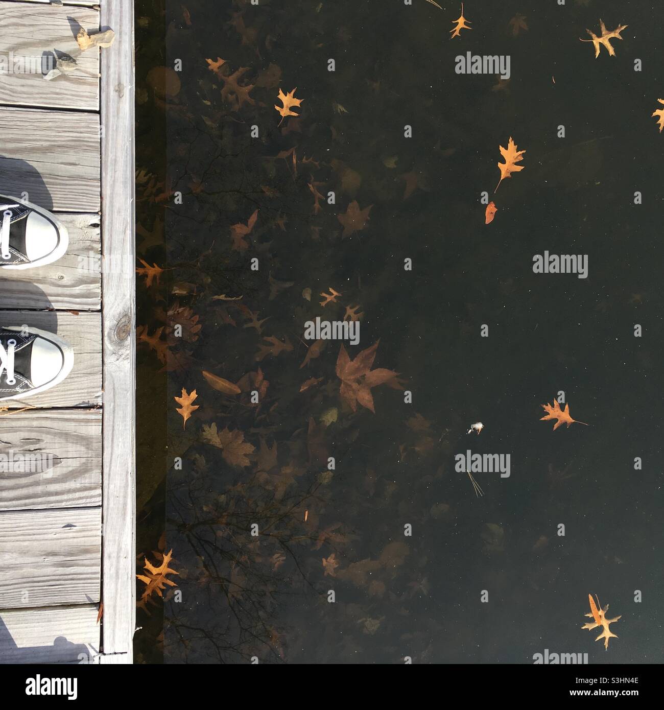 L'automne au quai Banque D'Images