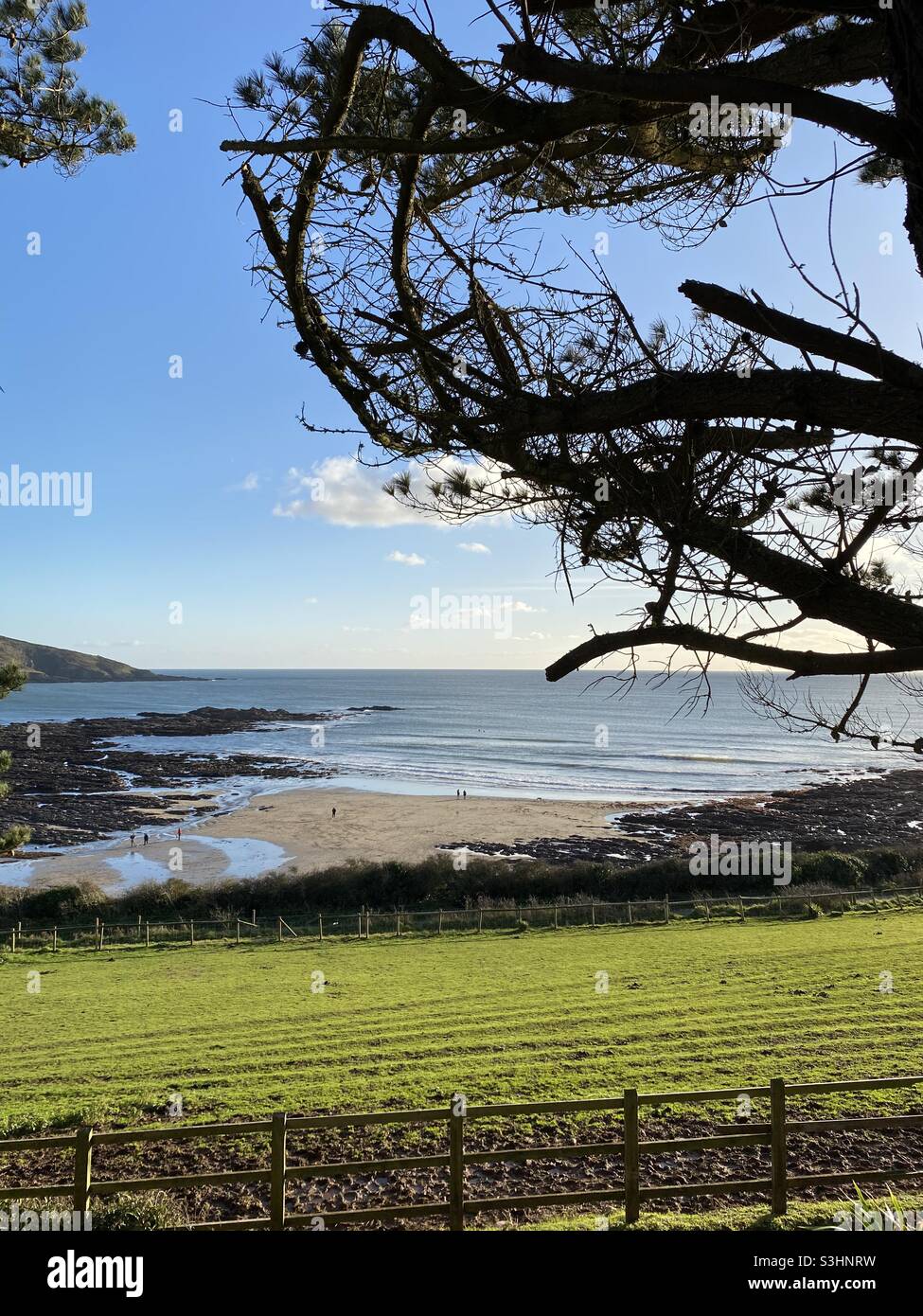 Plage de Wembury Banque D'Images