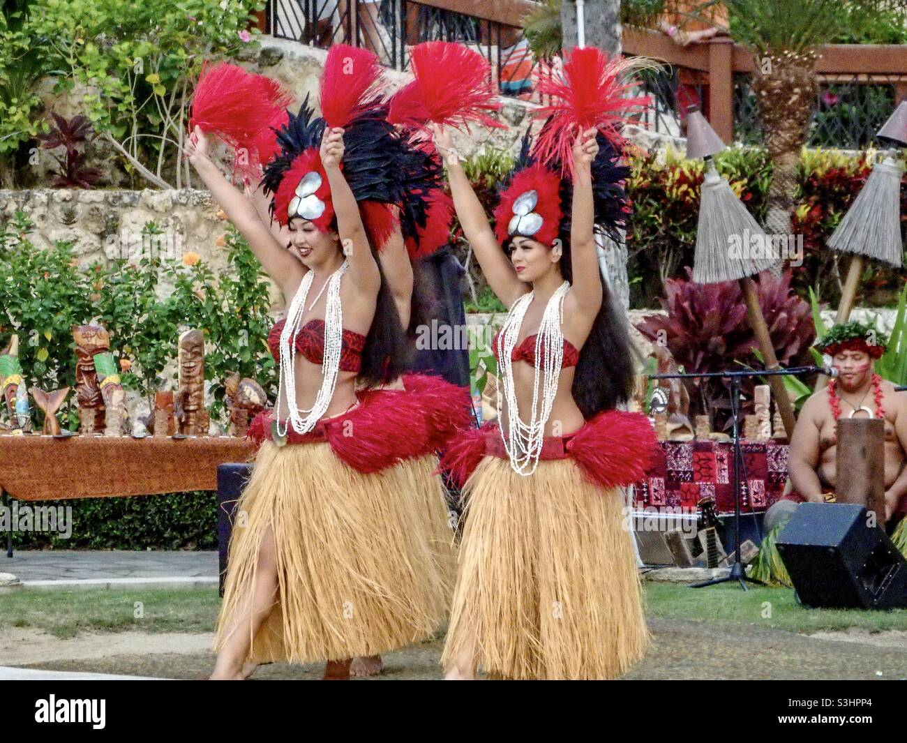 Costume De Fête Hawaïenne Complet Pour Femme - Jupe Hula, Collier De Fleurs, Bandeau, Lunettes Et Bracelets - Pour Soirées Tropicales Et Plage