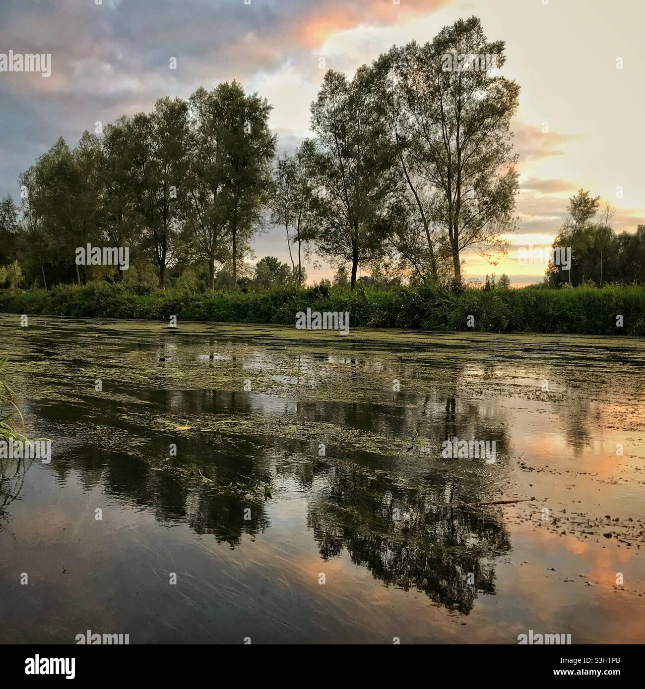 Réflexions par la rivière - Image de stock capturée avec un smartphone