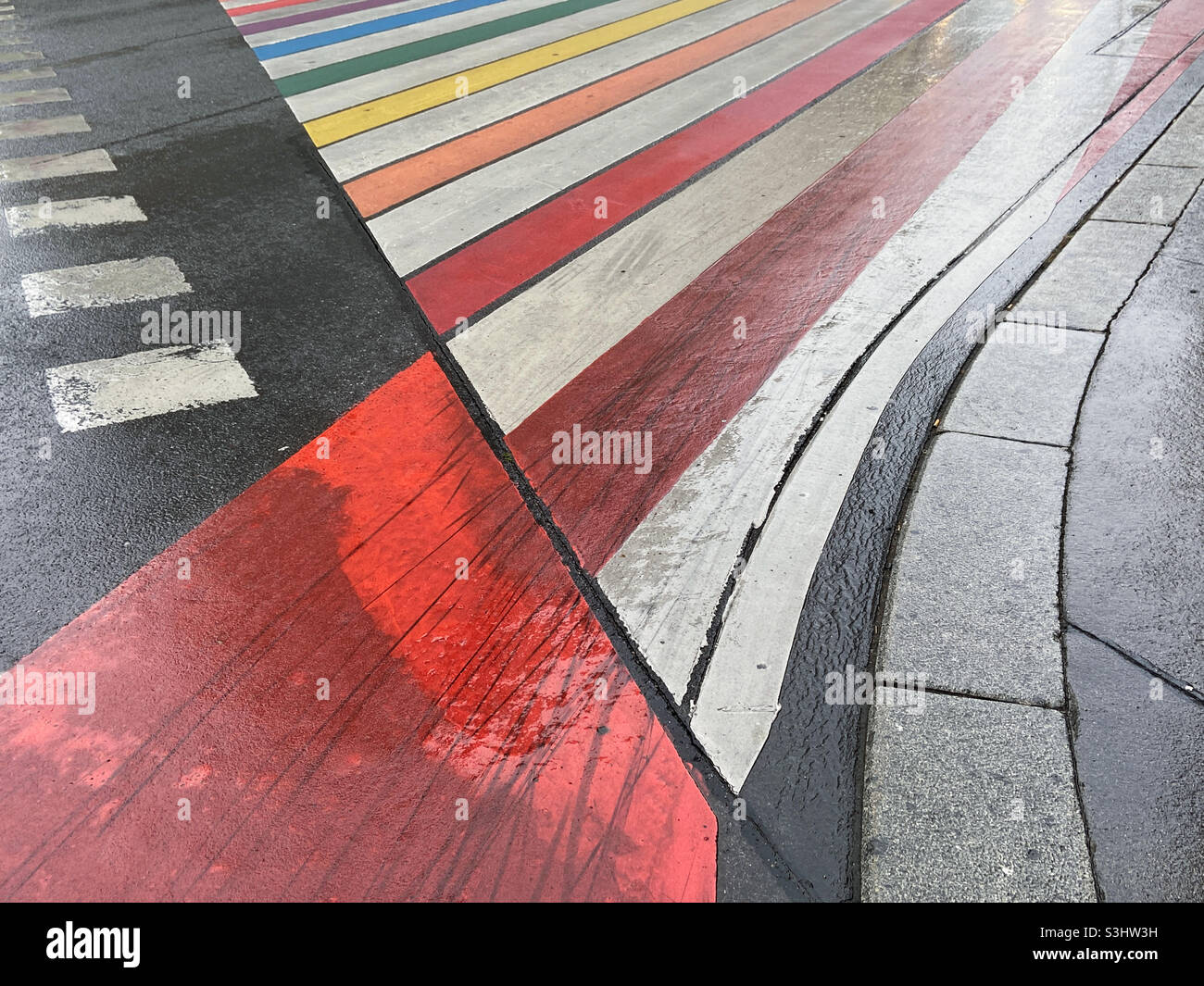 Zèbre de couleur - Image de stock capturée avec un smartphone