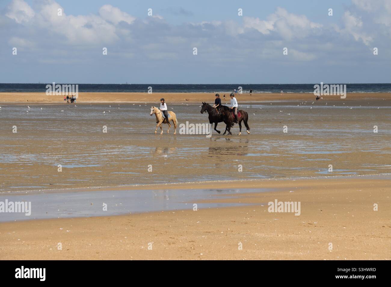 Les personnes avec des chevaux pourront profiter d'une balade le 30 août  2021 sur la plage de Houlgate, dans le département français du Calvados en  Normandie, le dernier week-end de vacances d'été