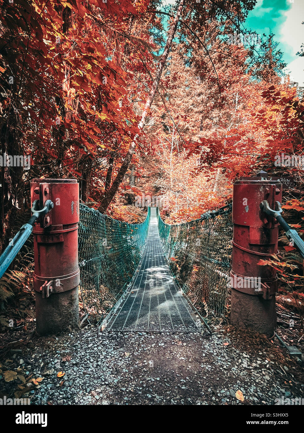 Suspension Bridge Banque D'Images
