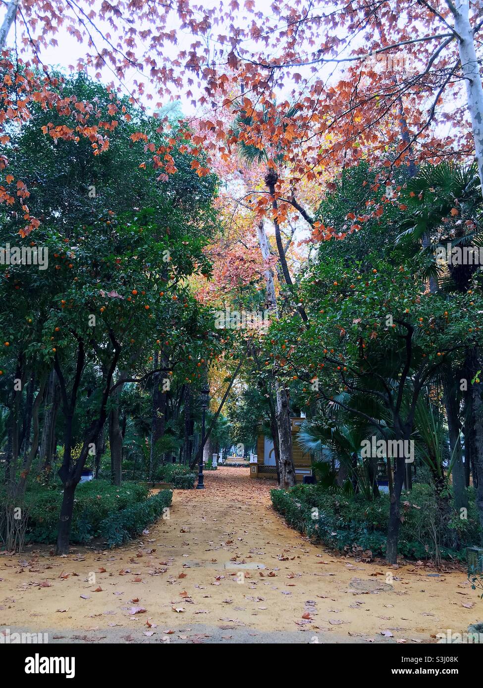 Beauté de la nature à Séville Banque D'Images