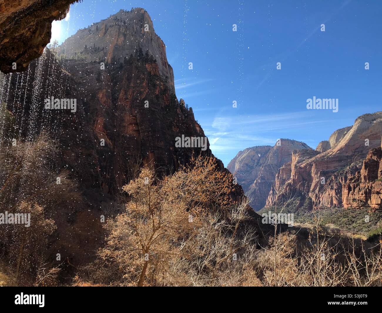 Zion National Park Banque D'Images