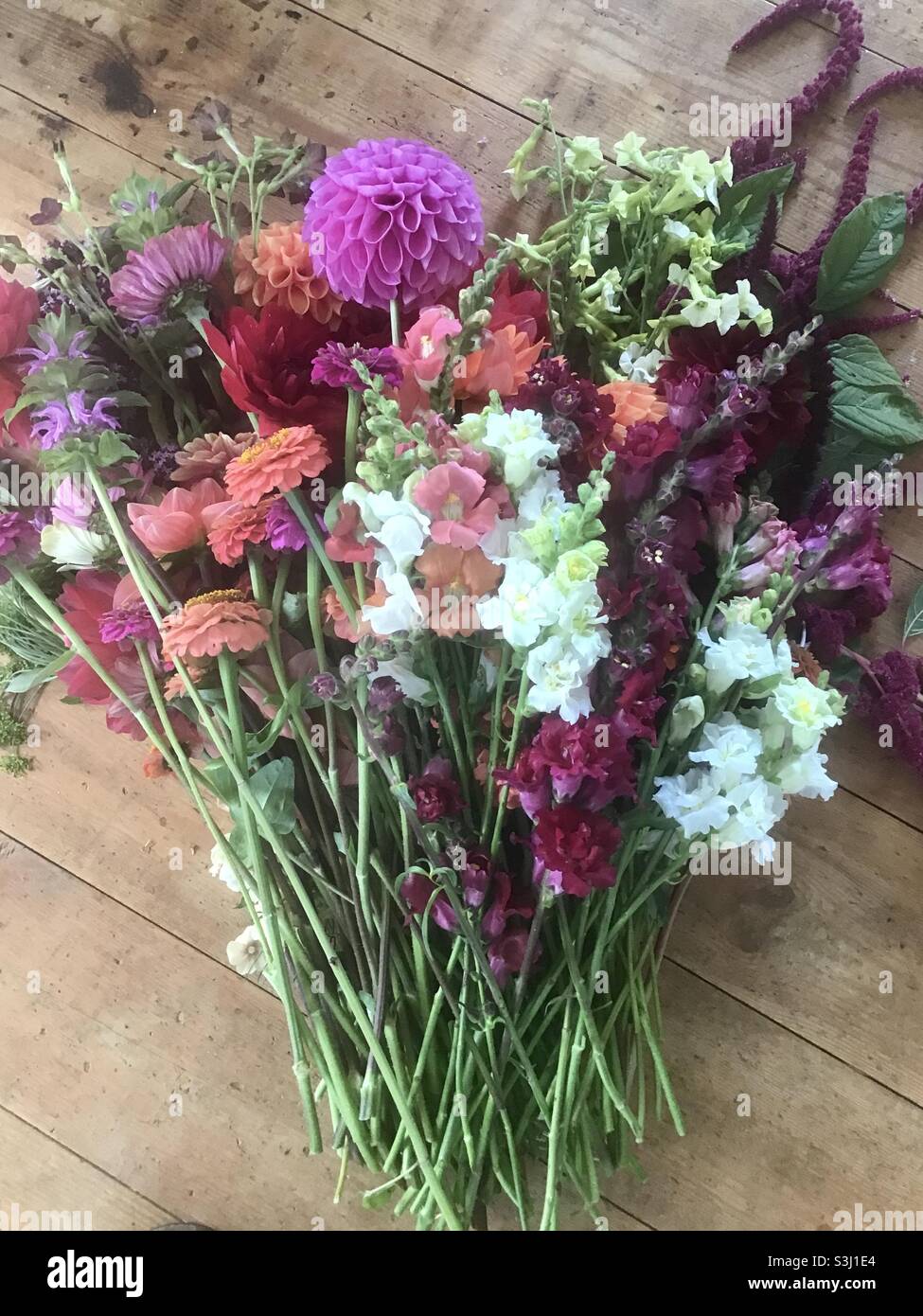Bouquet de fleurs fraîchement cueillies - Image de stock capturée avec un smartphone