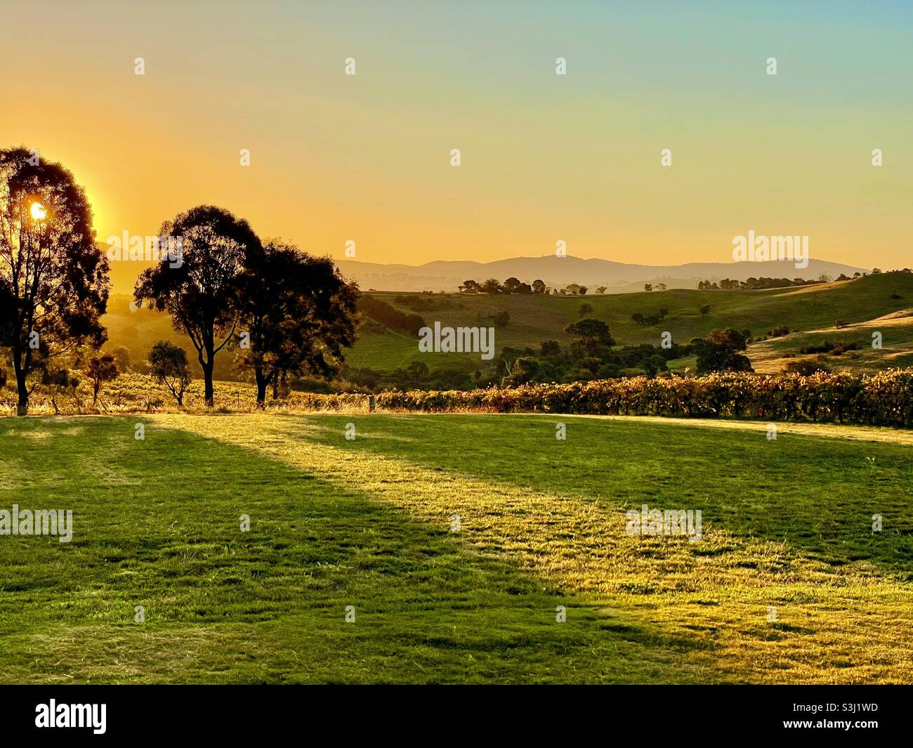 Pays Bush coucher de soleil Australie Banque D'Images