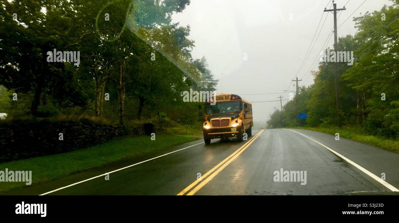 Un autobus scolaire dans la pluie et le brouillard, Halifax, Nouvelle-Écosse, Canada. Transport toutes saisons standard pour les jeunes enfants. Événements quotidiens et spéciaux. - Image de stock capturée avec un smartphone
