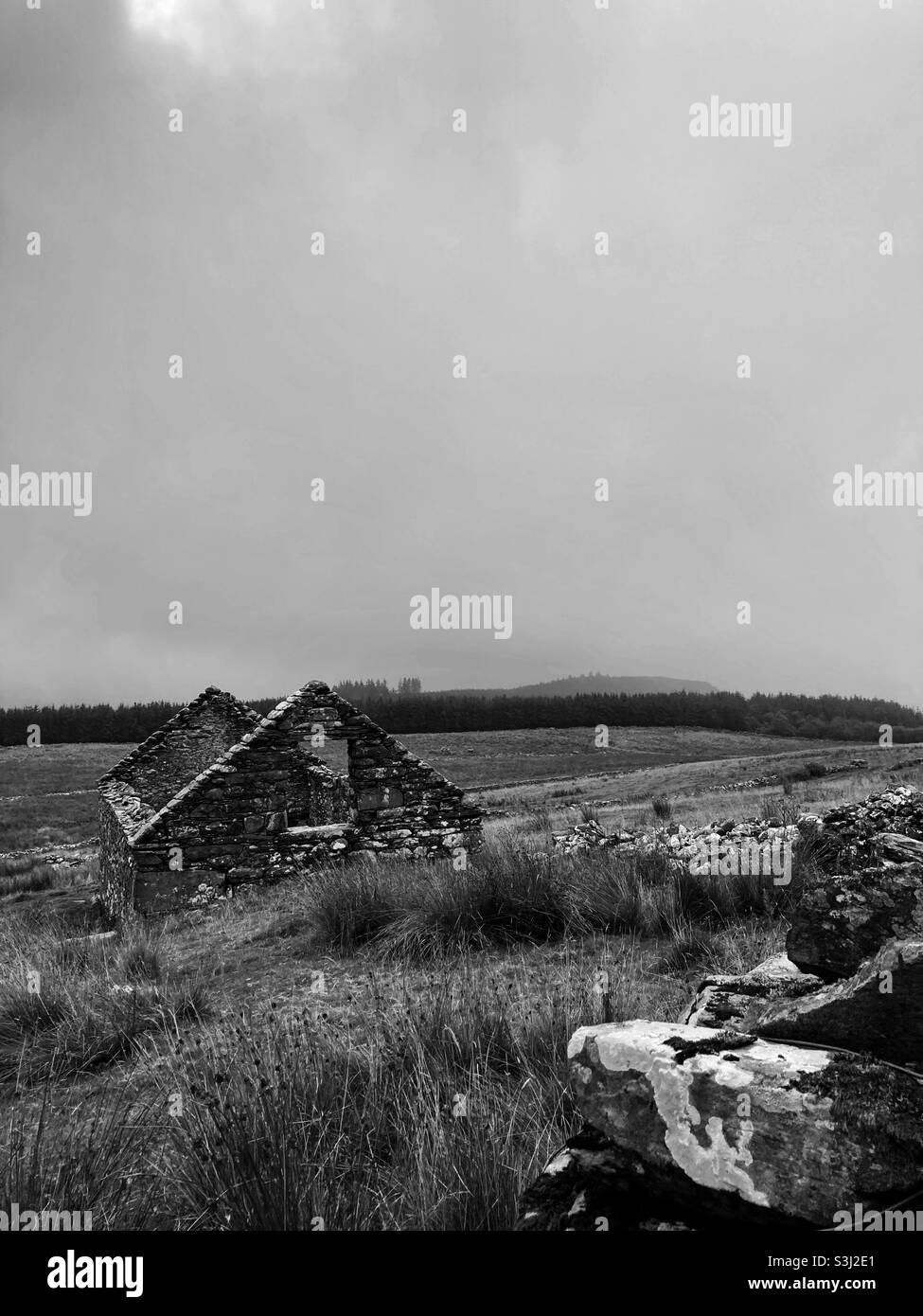 Ruine - maison manquant un toit - Parc national de Snowdonia près de Barmouth et Llawlech - maison abandonnée - propriété abandonnée Banque D'Images