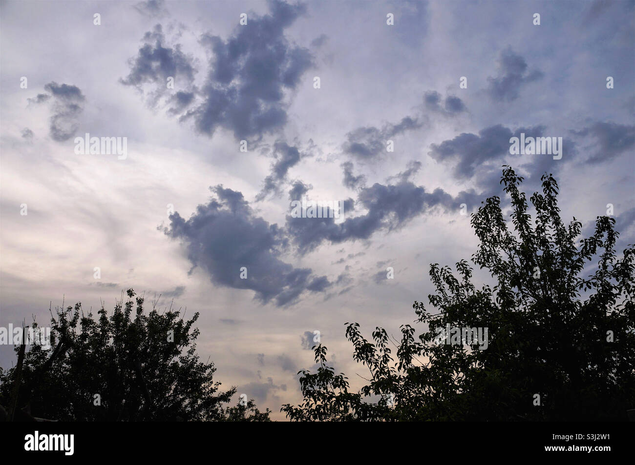 ciel atmosphérique avec nuages et silhouettes d'arbres Banque D'Images