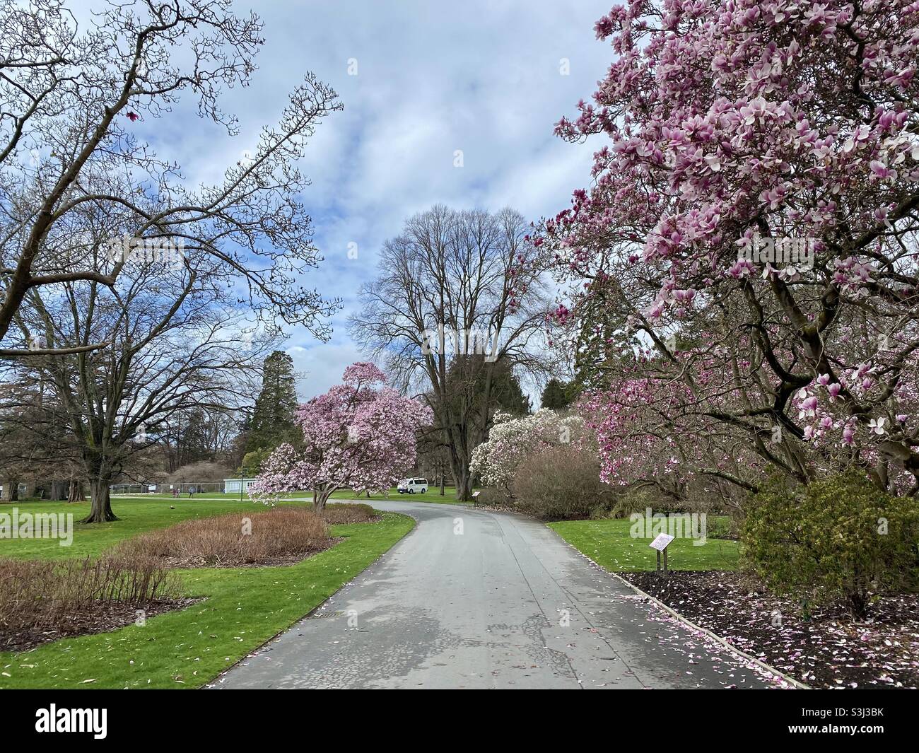 Printemps dans les jardins botaniques, Christchurch, Nouvelle-Zélande Banque D'Images