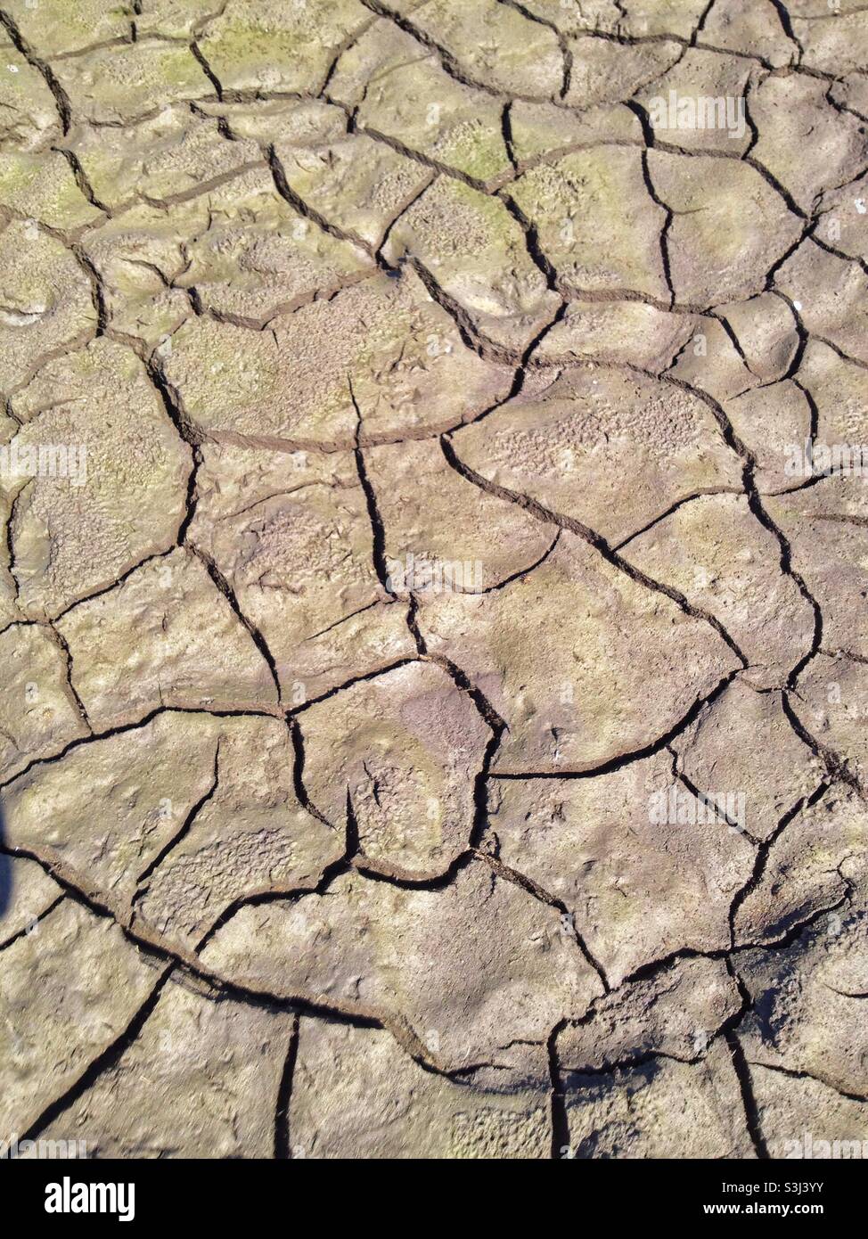 Terre fissurée : argile Banque D'Images