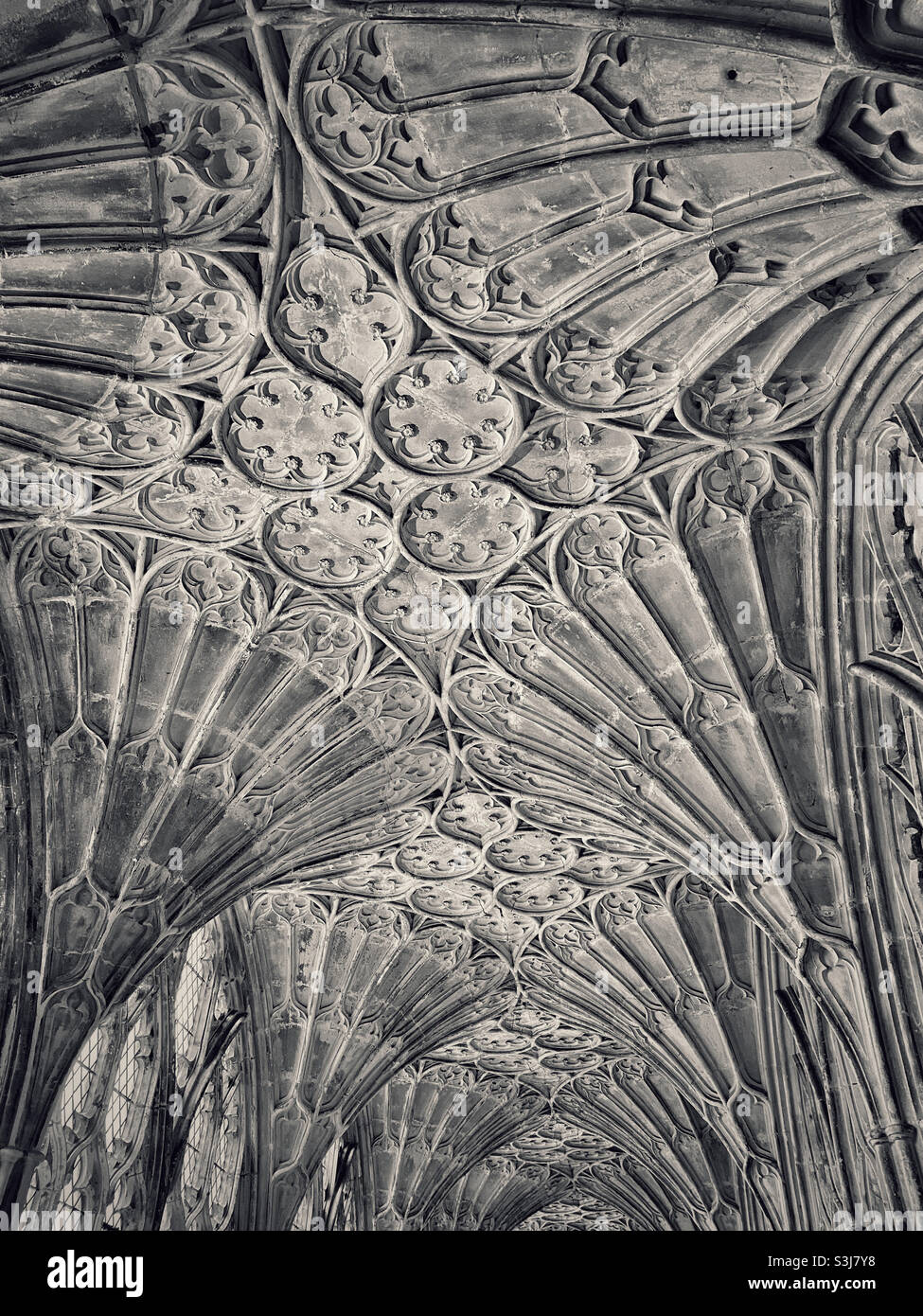 Une image monochrome et ton des plafonds voûtés du ventilateur dans les cloîtres de la cathédrale de Gloucester, en Angleterre, au Royaume-Uni. Cette zone a été utilisée pour les films Harry Potter. Photo ©️ COLIN HOSKINS. Banque D'Images