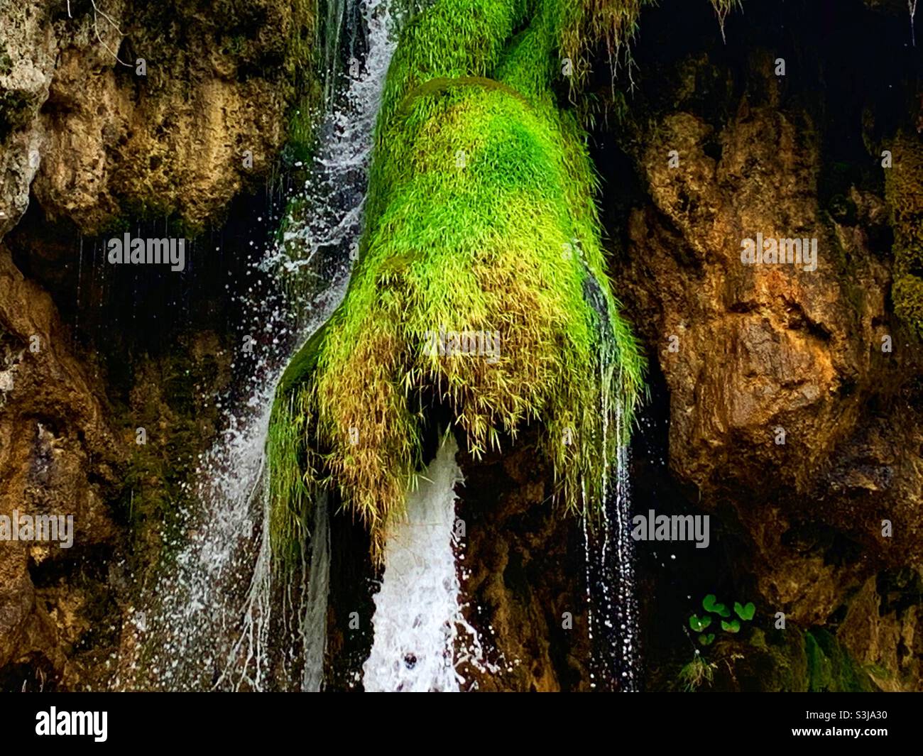 Le parc national des Lacs de Plitvice. Banque D'Images