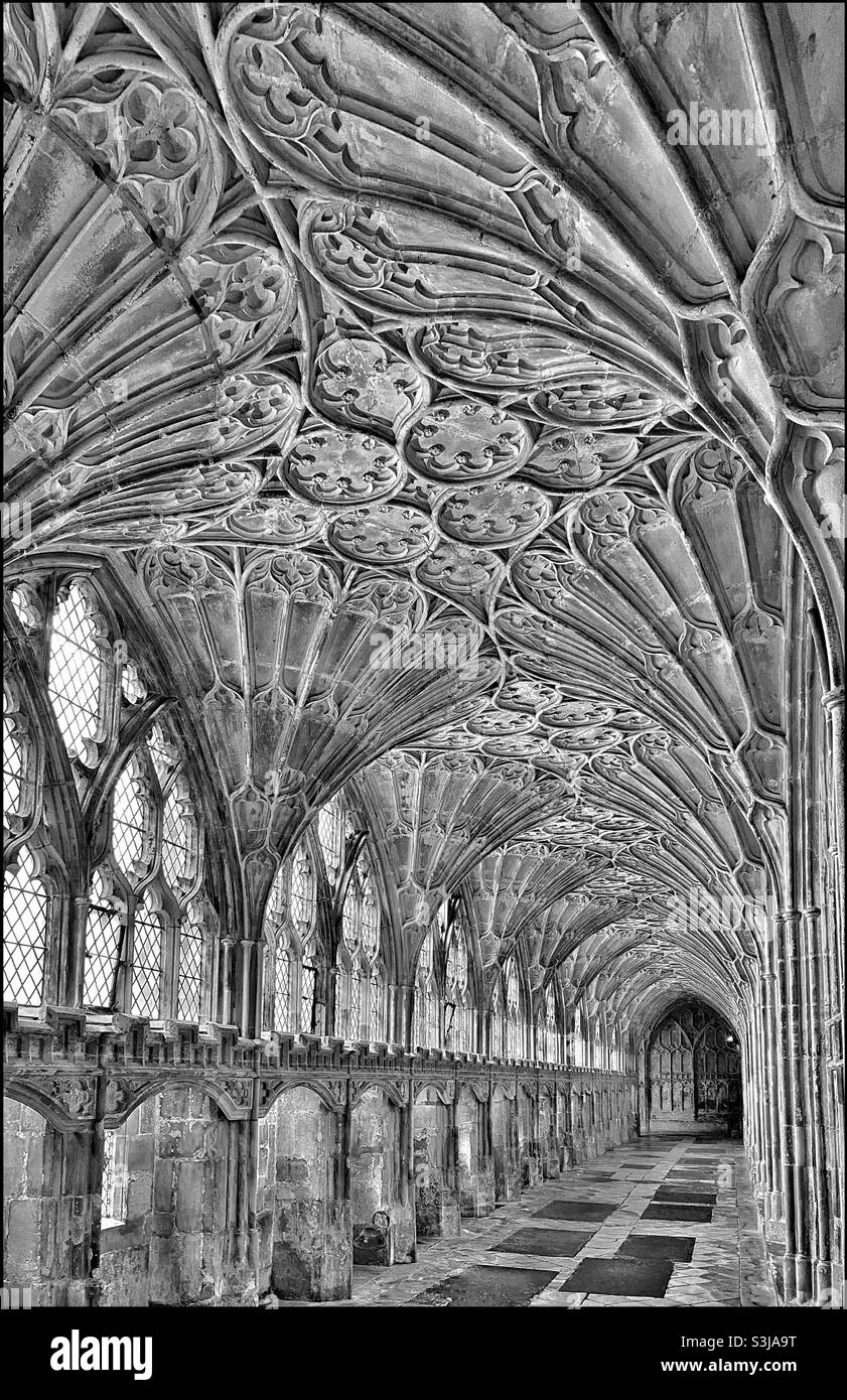 Un excellent exemple de conception de plafond voûté de ventilateur. C'est la cathédrale de Gloucester en Angleterre, un lieu utilisé dans le tournage de 2 films Harry Potter. Photo ©️ COLIN HOSKINS. - Image de stock capturée avec un smartphone