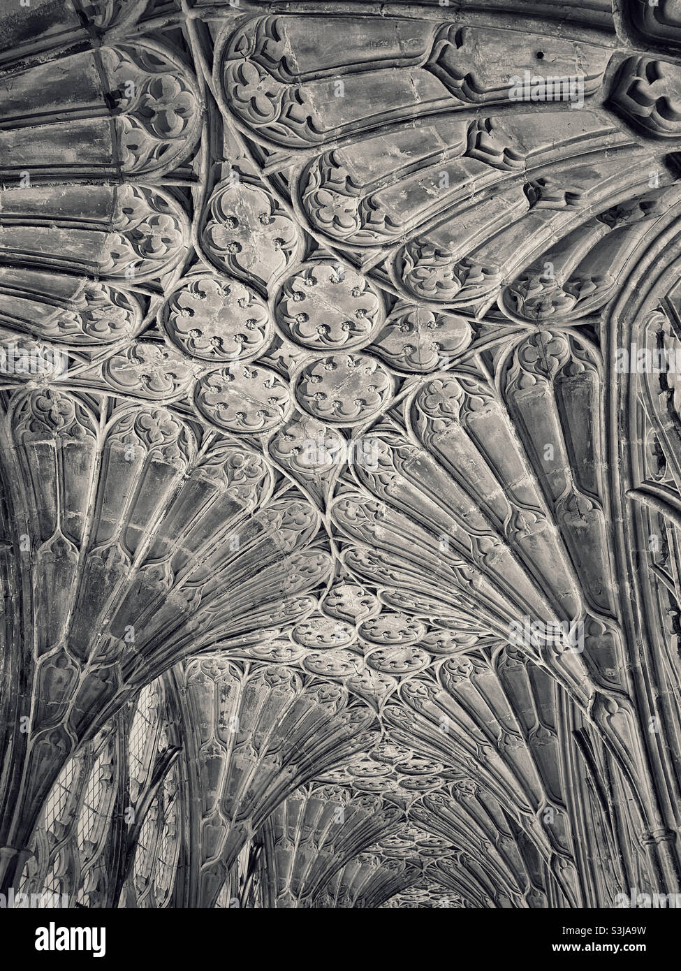 Le plafond voûté du ventilateur de la zone des cloîtres de la cathédrale de Gloucester. Cette architecture romane et gothique a été utilisée comme emplacement dans 2 des films de Harry Potter. Photo ©️ COLIN HOSKINS. - Image de stock capturée avec un smartphone