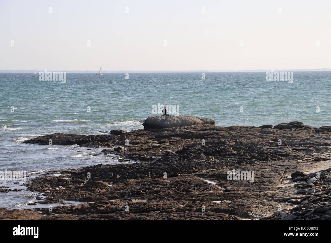 Assis sur un rocher et regardant l'océan - Image de stock capturée avec un smartphone